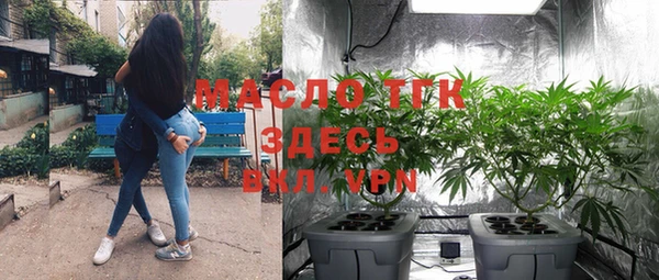 эйфоретик Аркадак