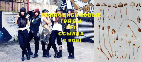 а пвп мука Армянск