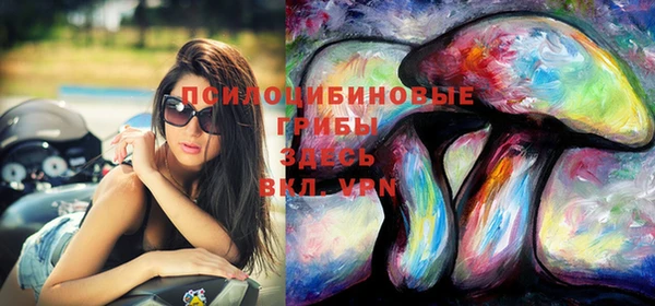 прущий лед Арсеньев