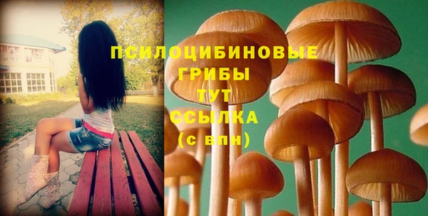 прущий лед Арсеньев