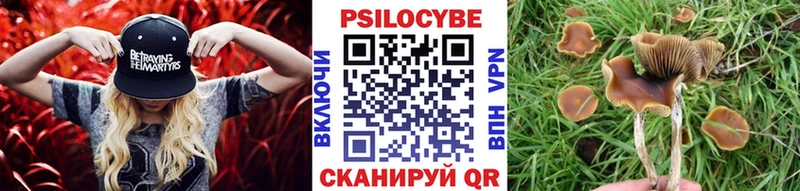 Галлюциногенные грибы Psilocybine cubensis  Наволоки 