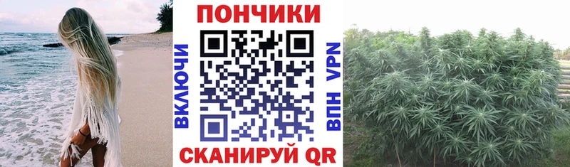Бошки марихуана AK-47  цены наркотик  MEGA ONION  Наволоки 
